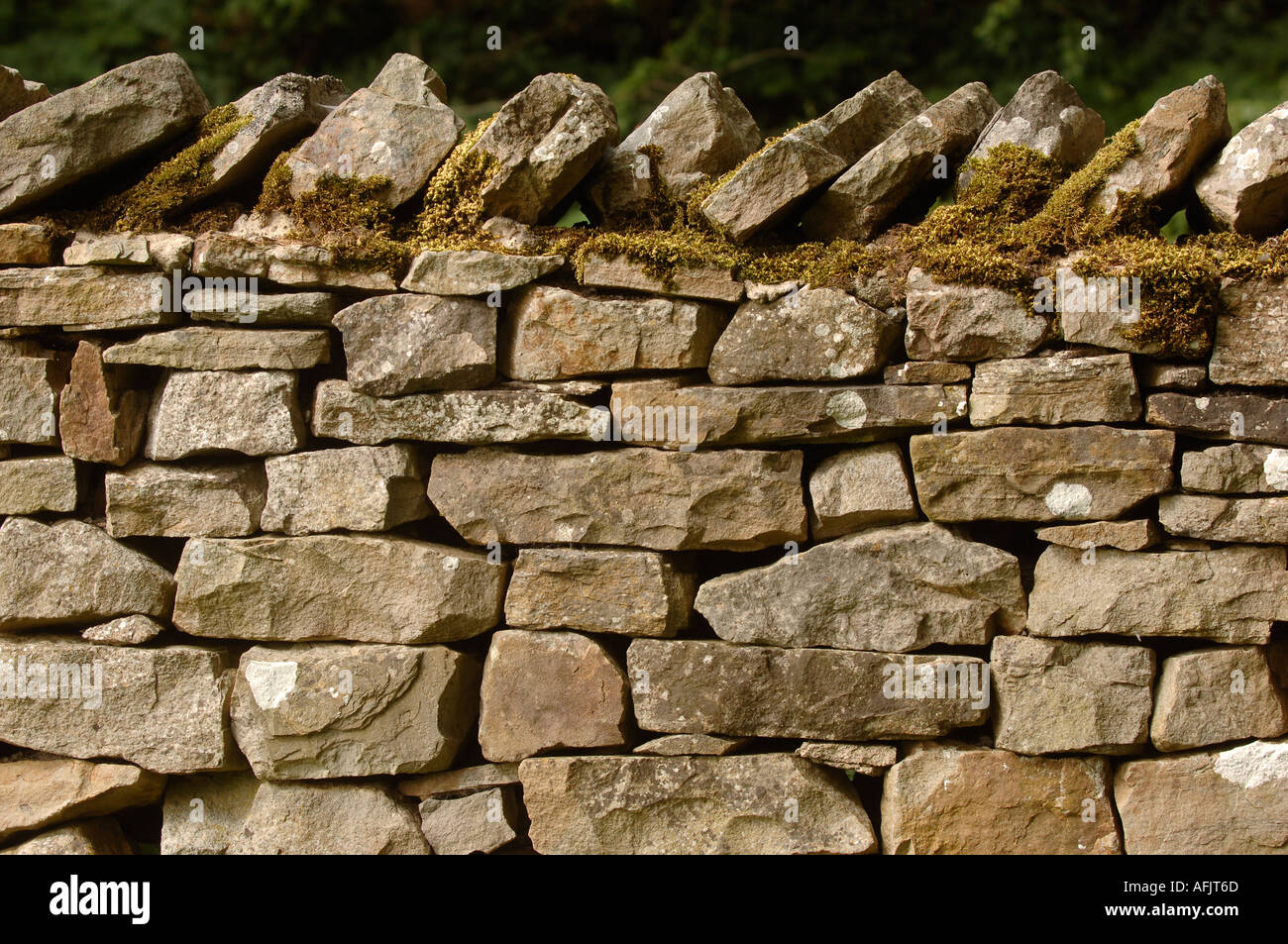 Dry stone wall in the Yorkshire dales Stock Photo