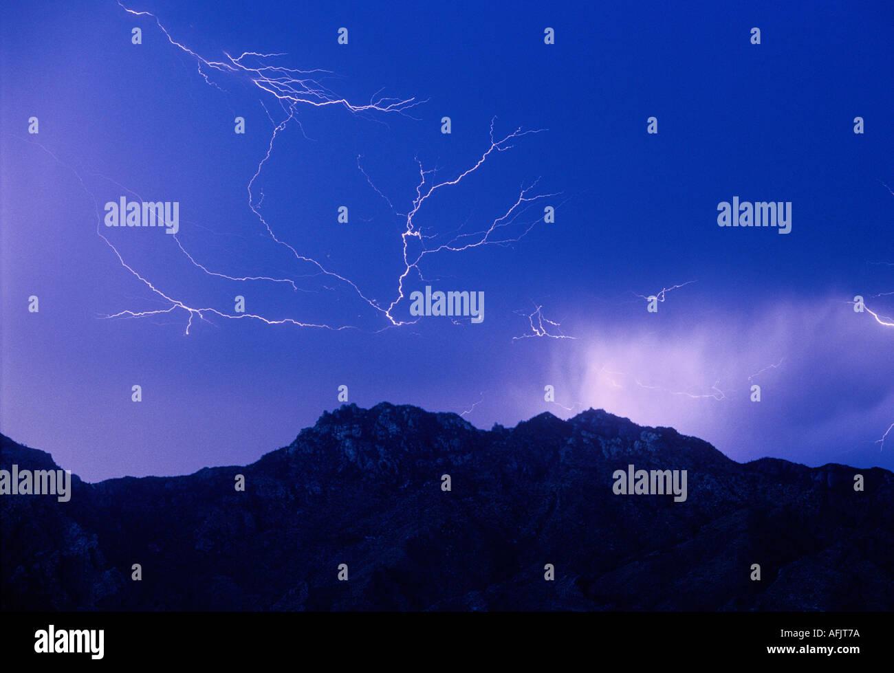 Spider lightning strikes across the Catalina Mountains from a brilliant blue sky in Tucson, Arizona, USA. Stock Photo