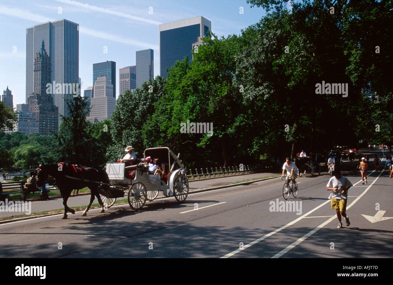 New York,State,New York,City,Manhattan,urban,metropolis,Central Park,public land,recreation,Saturday morning,horse horses,equine,animal,animal,domesti Stock Photo