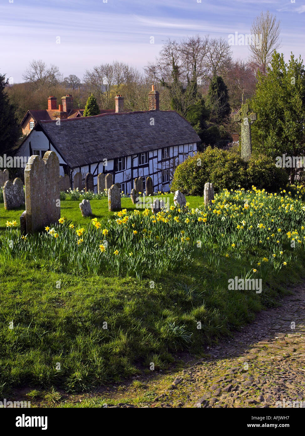 spring-flowers-in-st-mary-s-church-graveyard-thakeham-west-sussex-uk