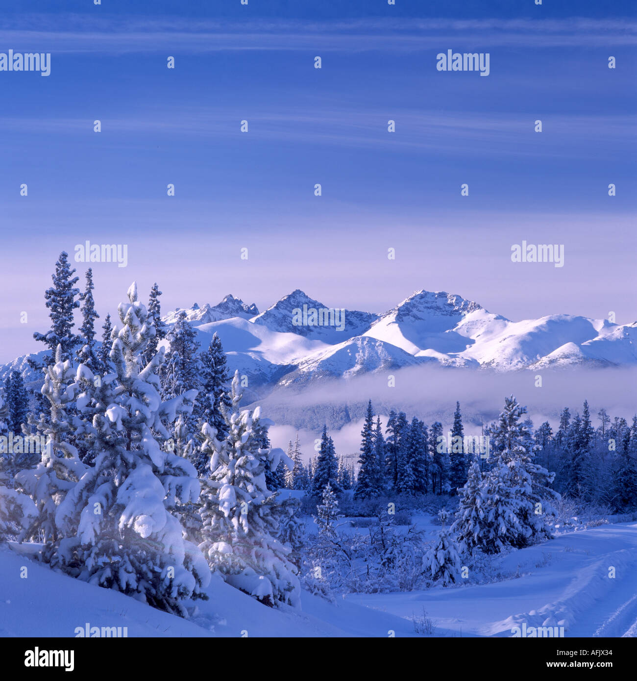 The Nemaiah Valley and the Coast Mountains in the Cariboo Chilcotin