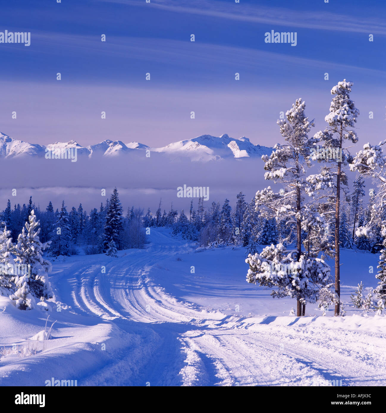 The Nemaiah Valley and the Coast Mountains in Winter in