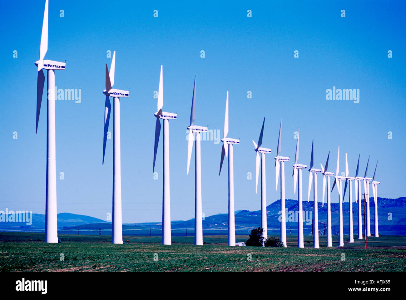 Wind Turbines generate Electricity at Wind Farm near Pincher Creek in