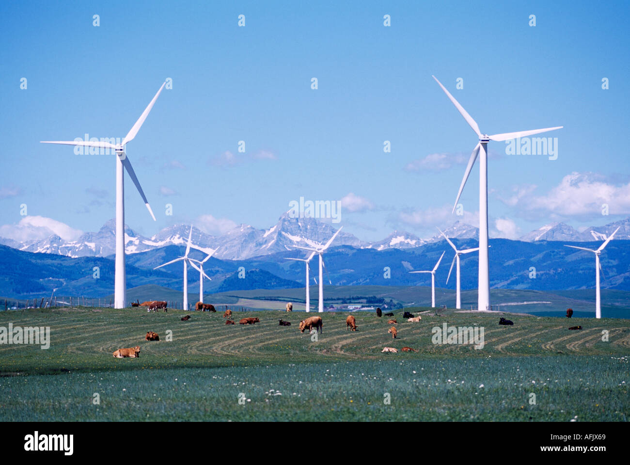 Wind Turbines generate Electricity at Wind Farm near Pincher Creek in