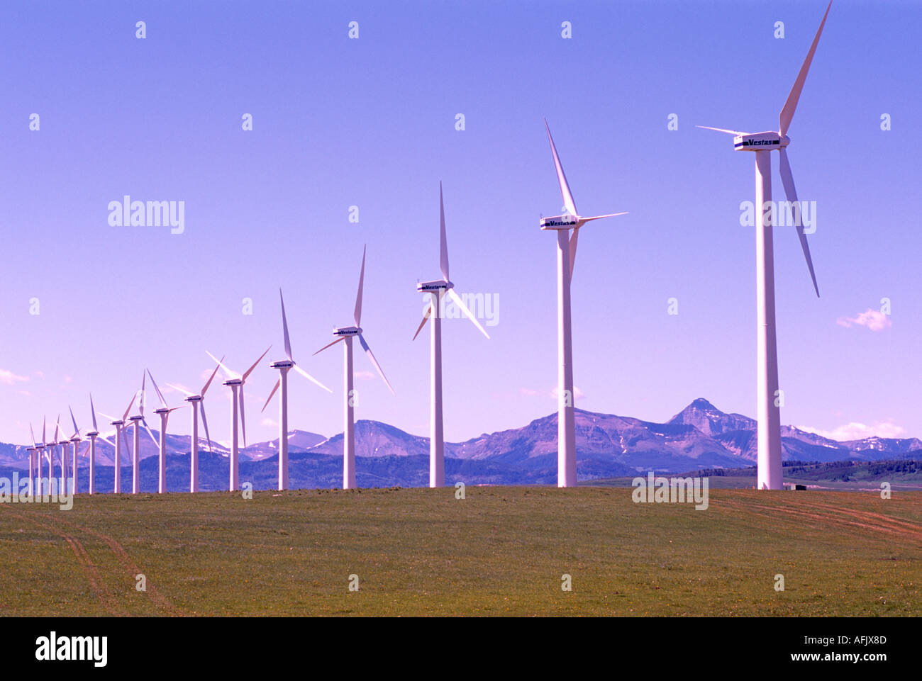 Wind Turbines generate Electricity at Wind Farm near Pincher Creek in