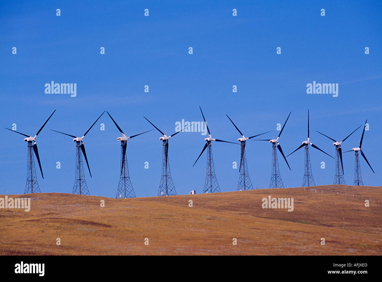 Wind Turbines generate Electricity at Wind Farm near Pincher Creek in
