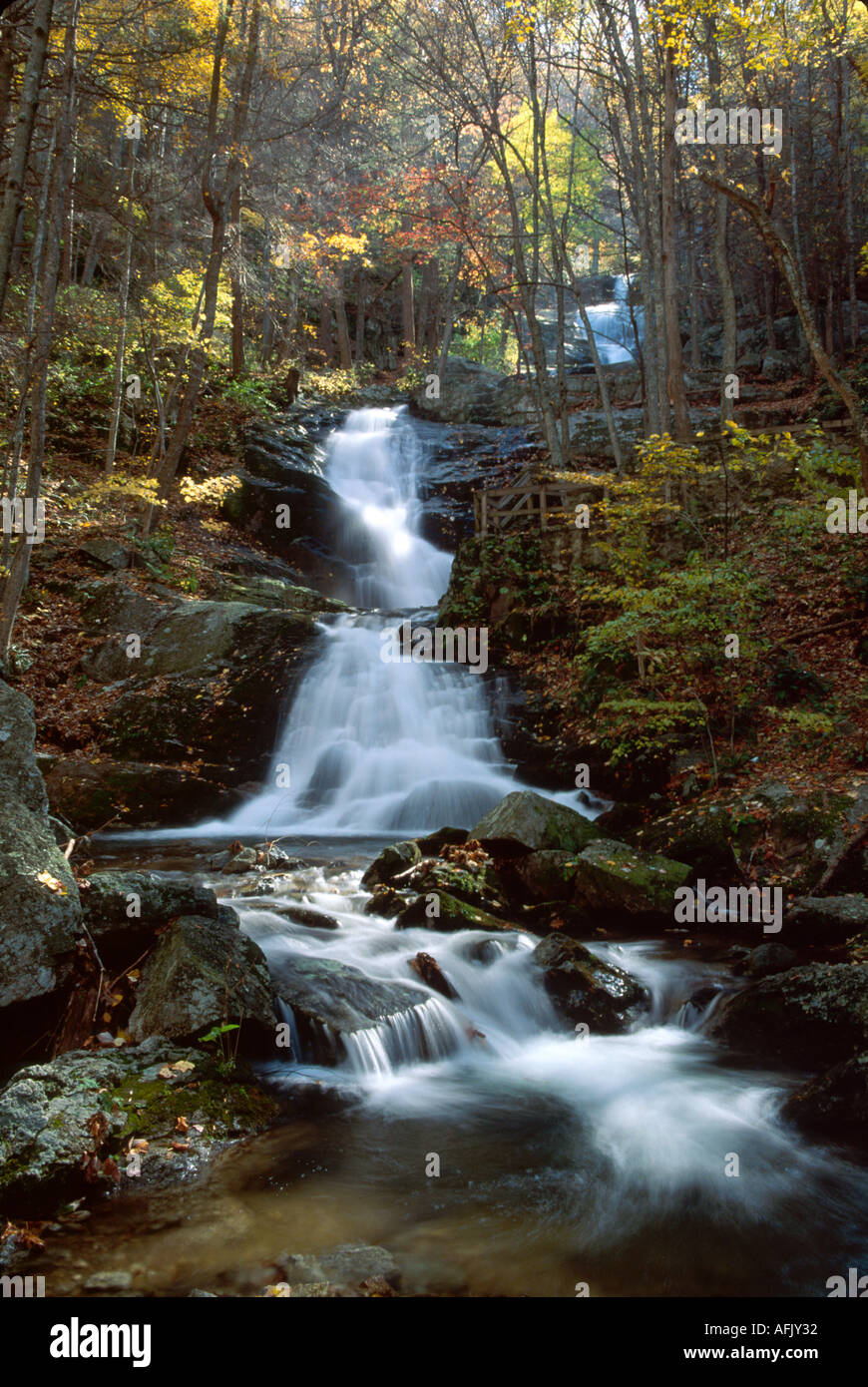 Virginia George Washington National Forest Nelson County Crabtree