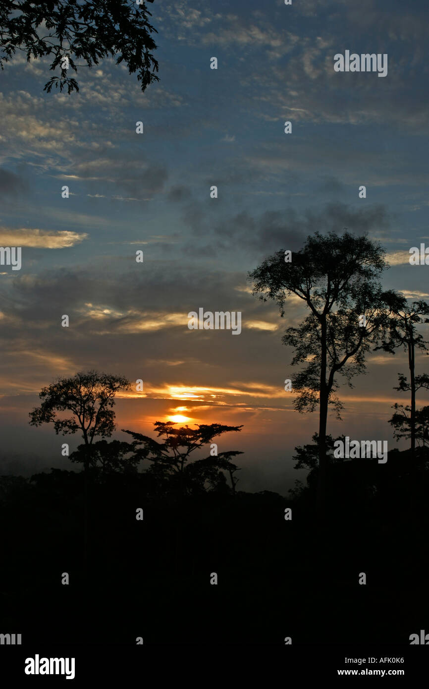 Sunset or sunrise over African Tropical Rainforest, Ghana, West Africa Stock Photo