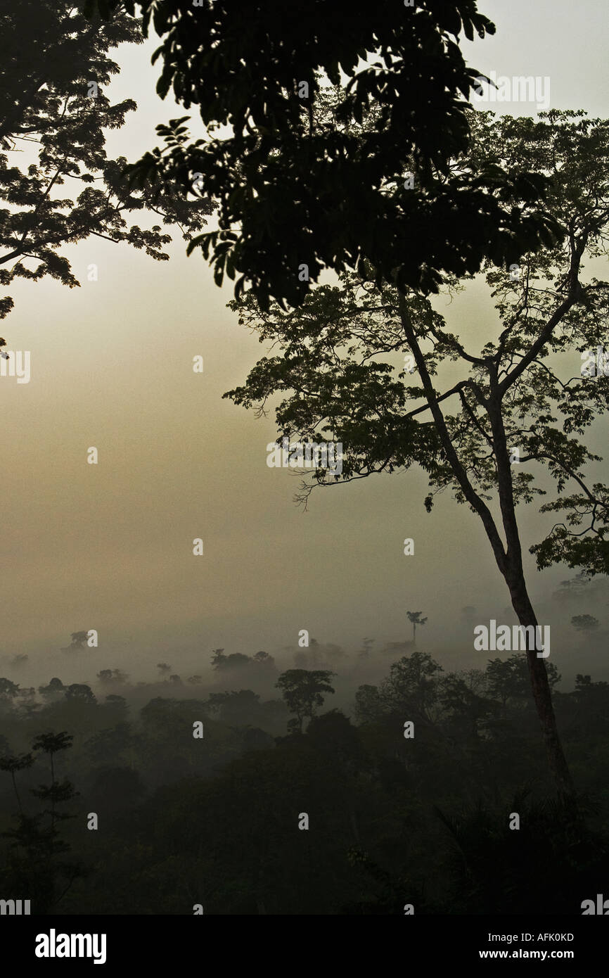 Early morning mists and clouds in tropical rainforest  Ghana, West Africa Stock Photo