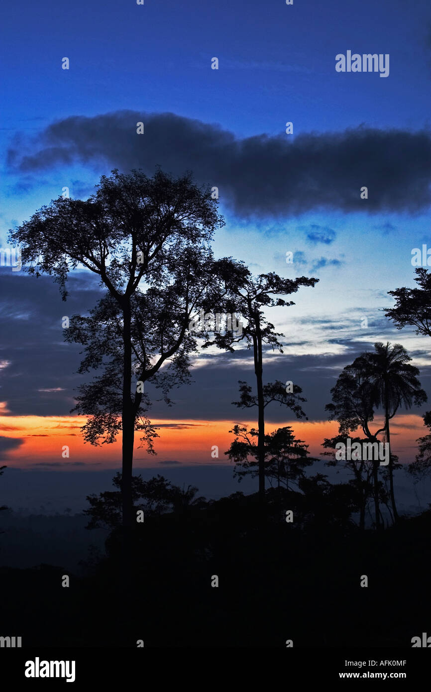 Dawn over Tropical  African Rainforest with mist clearing, Ghana, West Africa Stock Photo