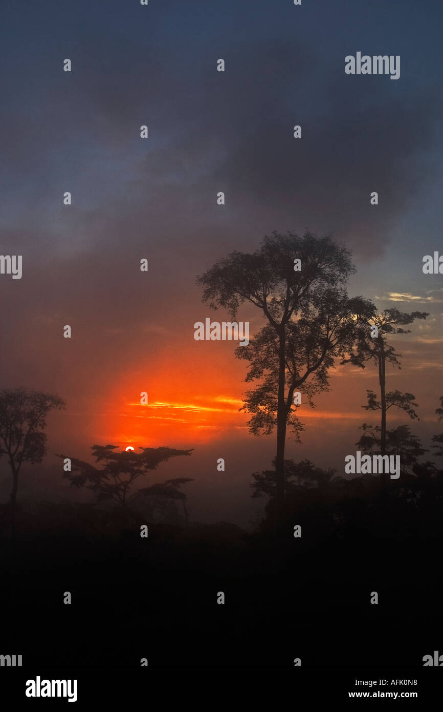 Sunrise or Dawn over Tropical  African Rainforest with mist clearing, Ghana, West Africa Stock Photo