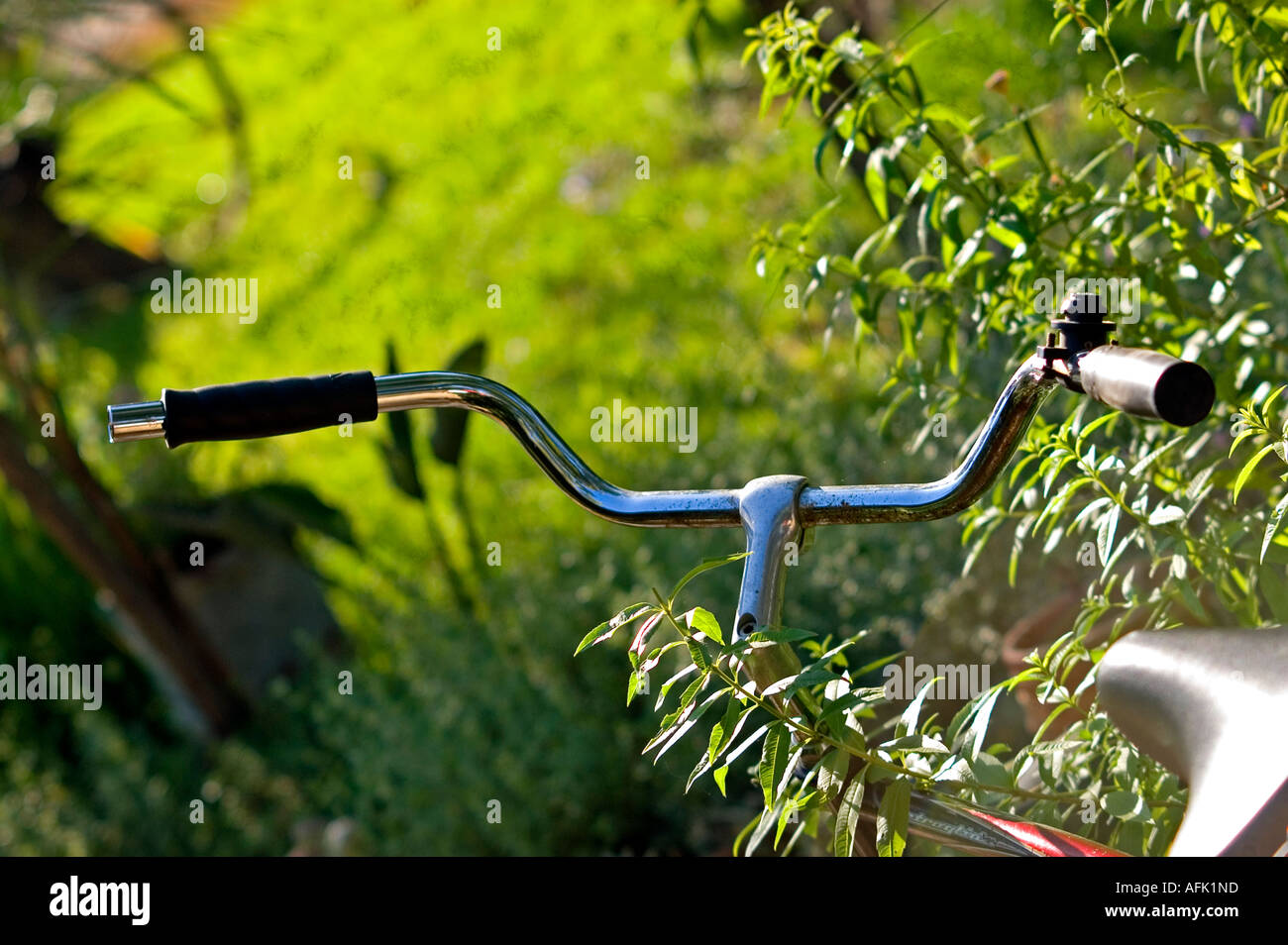 Handle bars in the bushes Stock Photo