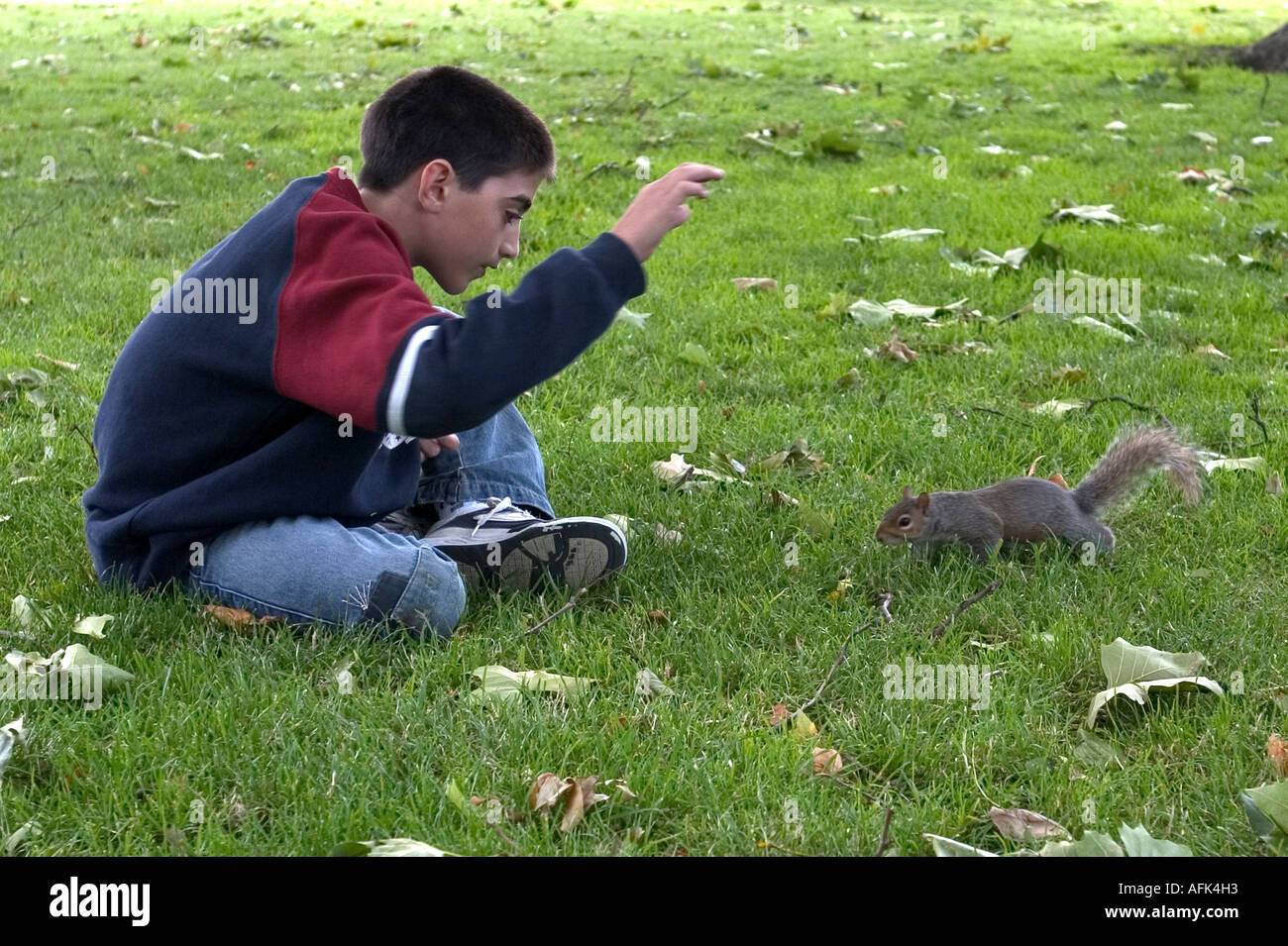 A boy and a squirrel London UK Stock Photo