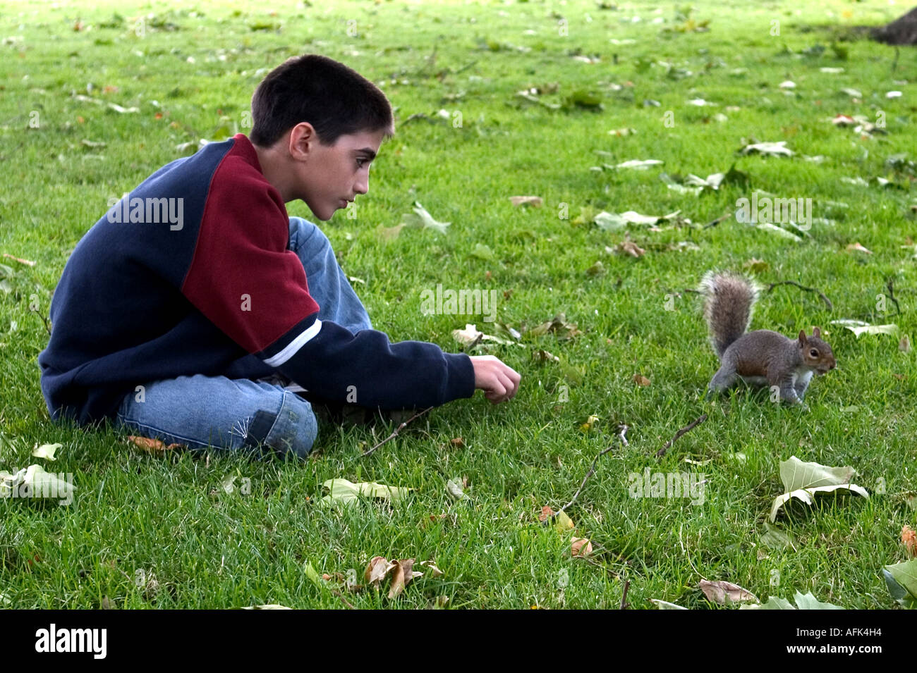 A boy and a squirrel London UK Stock Photo