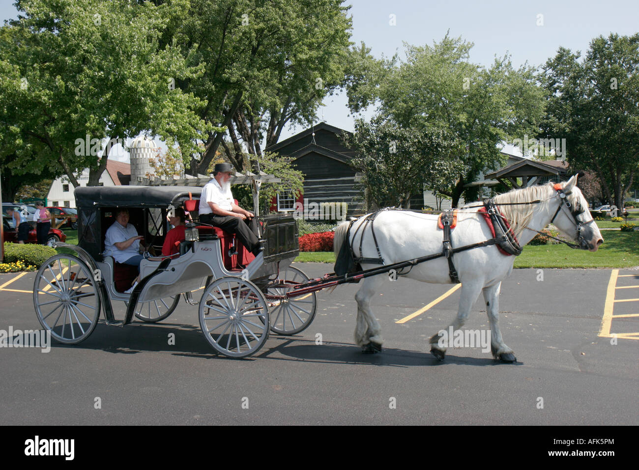 Indiana Elkhart County,Middlebury,Das Dutchman Essenhaus,Amish buggy ride,horse,IN070828048 Stock Photo