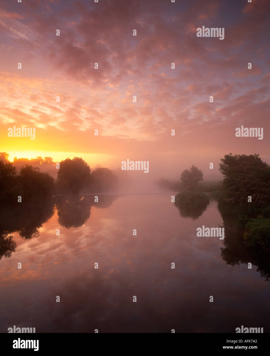 River Stour near Wimborne Dorset England UK Stock Photo Alamy