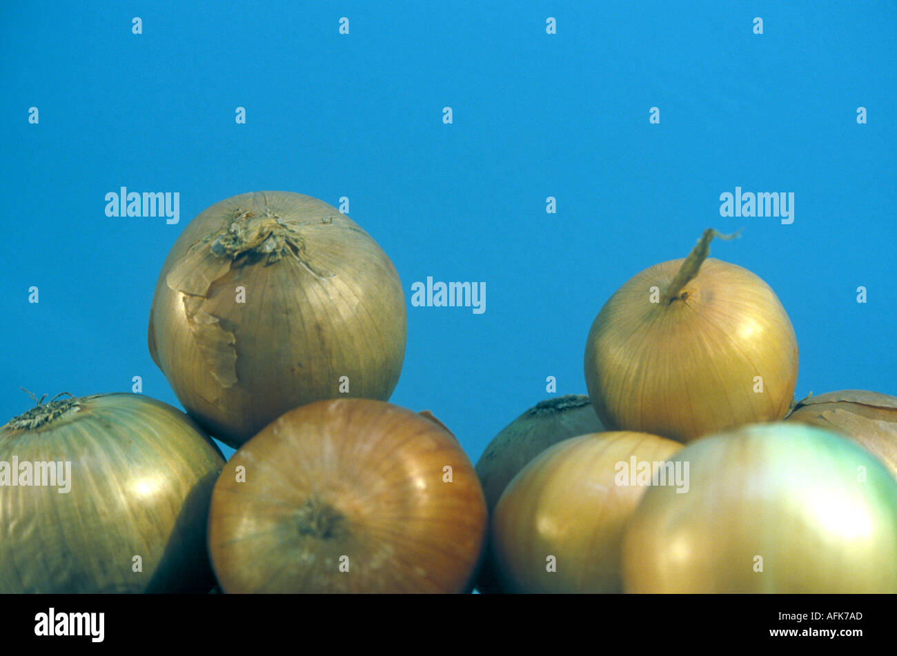 Onions against a blue background Stock Photo