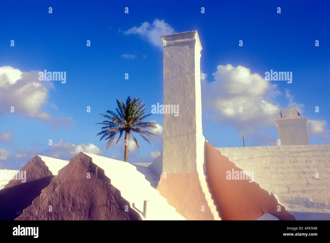 View of palm tree and roof tops in Bermuda Stock Photo