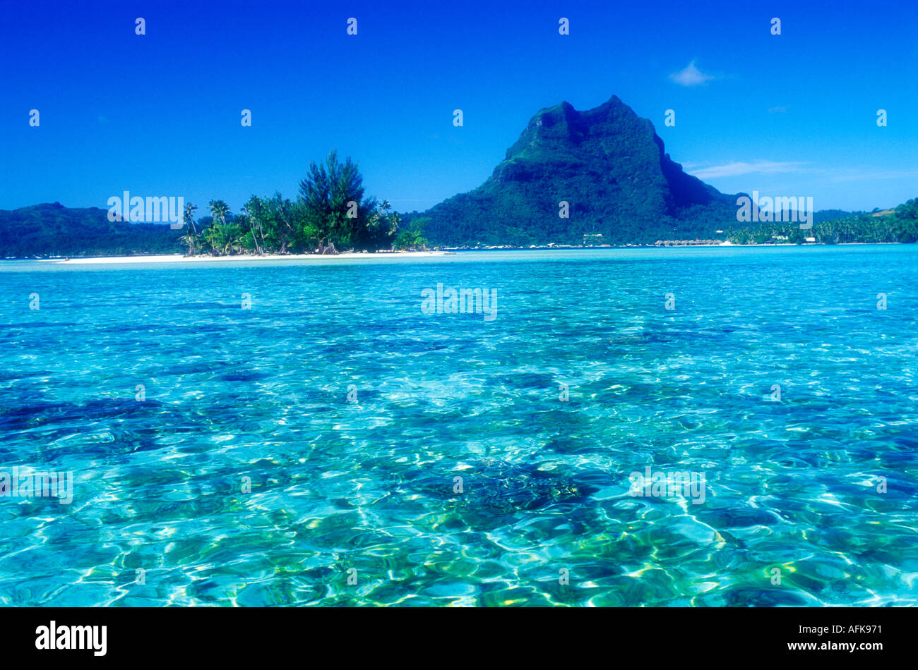 gay latino websites of porn from Kaeden bora bora french gay polynesia