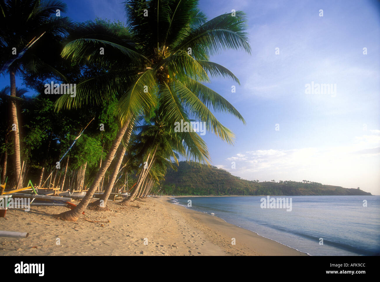 Palm trees on Pantai Nipah beach on the island of Lombok in Indonesia Southeast Asia Stock Photo
