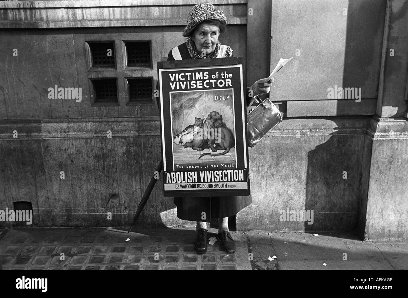 Vivisection protest Old age lady pensioner hands out leaflets Abolish Vivisection London 1970s HOMER SYKES Stock Photo