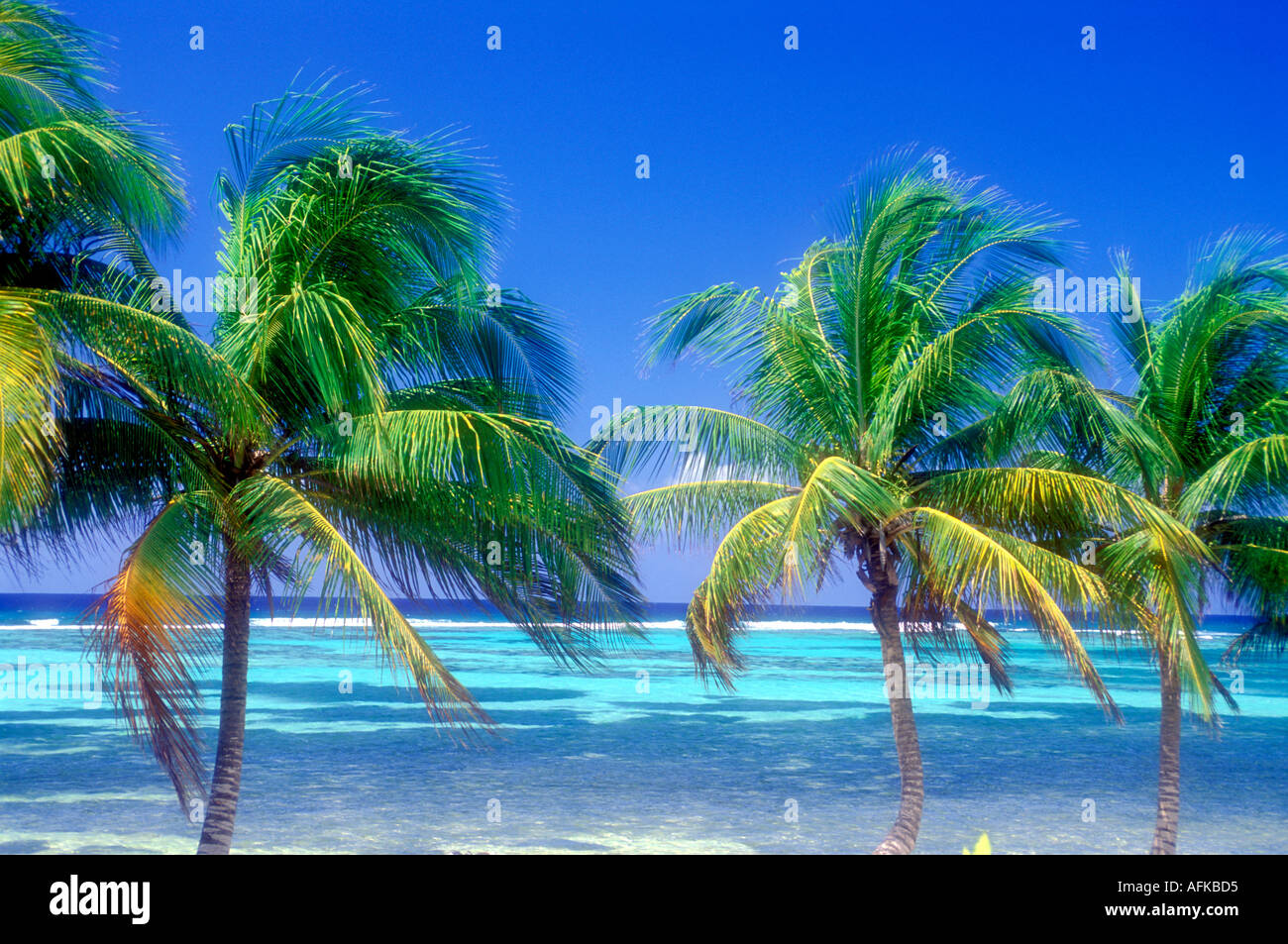 Grand cayman islands hi-res stock photography and images - Alamy
