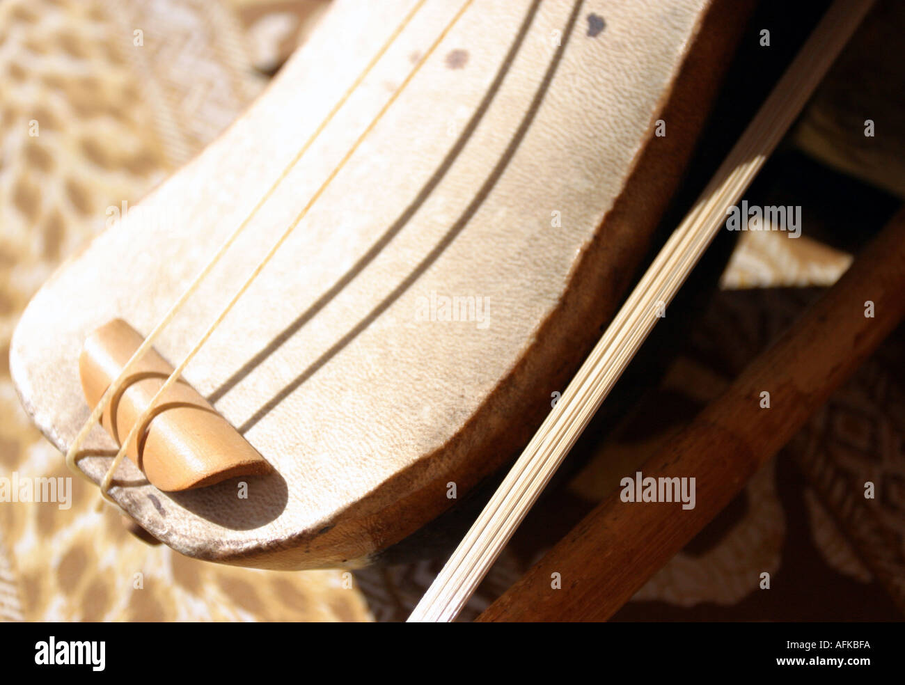 Catgut strings hires stock photography and images Alamy