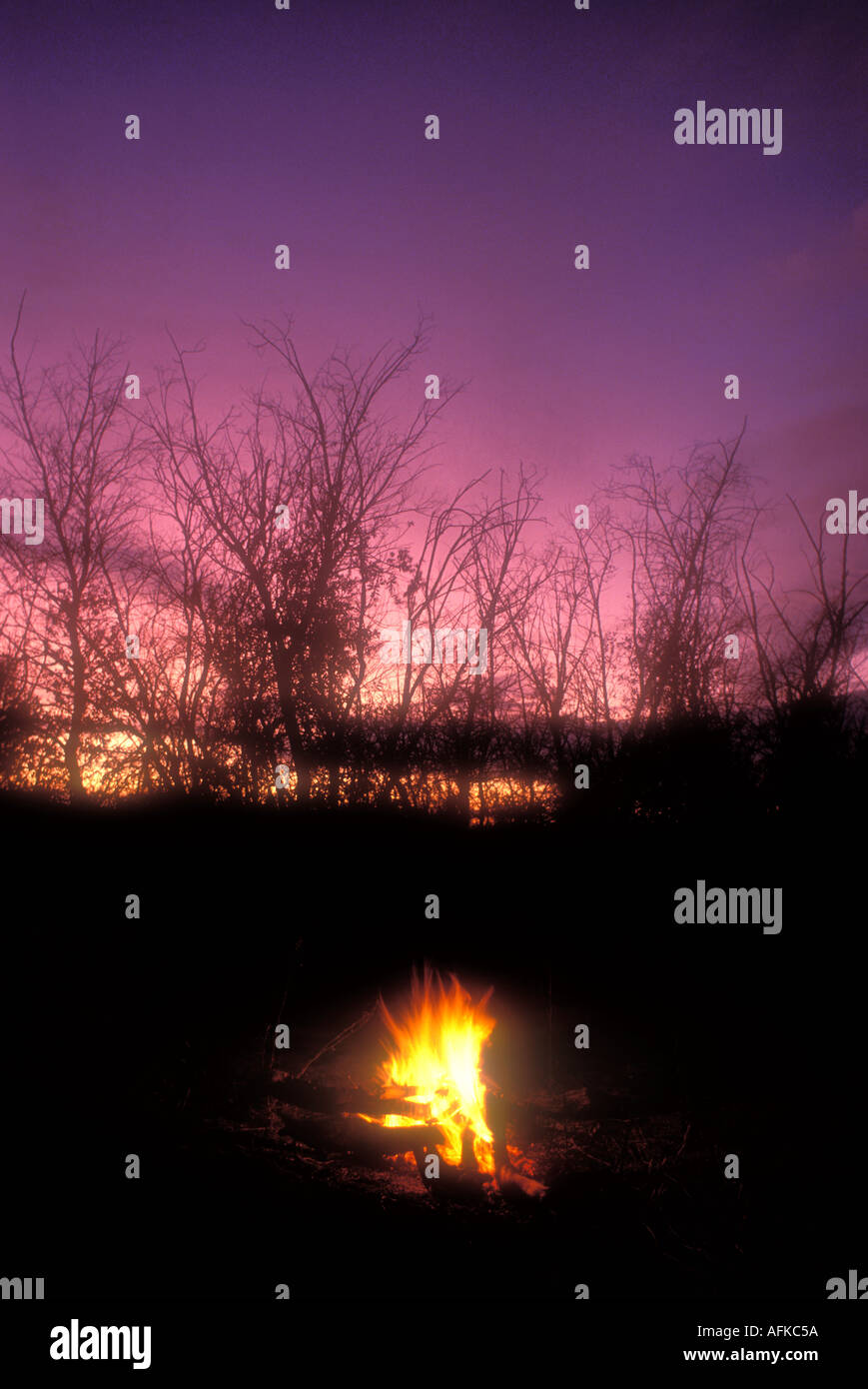 Camp fire outdoors Property Released Image Stock Photo