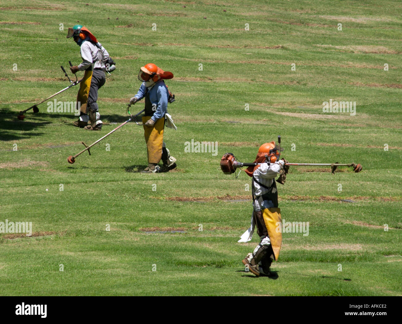 Gardeners at Forest Lawn cemetery in Glendale California Stock Photo