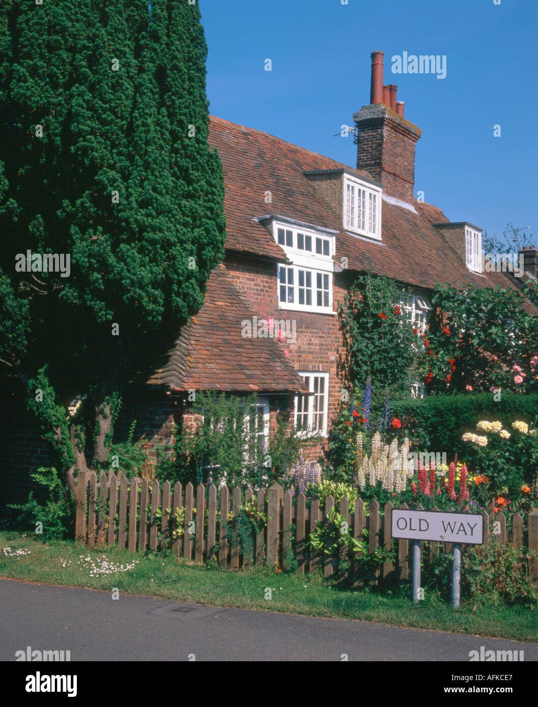 Old Way Appledore Kent UK Stock Photo Alamy