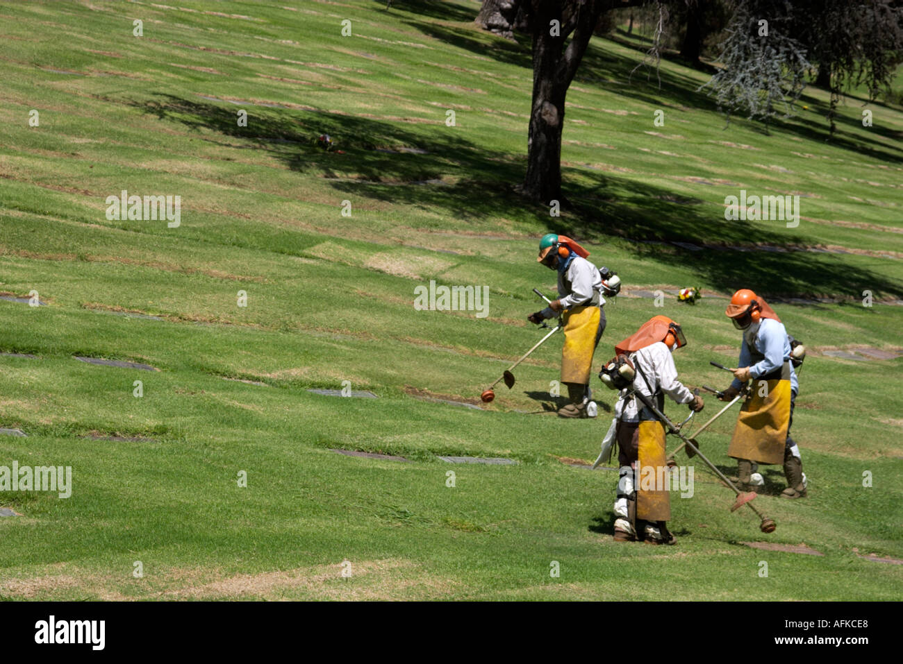 Gardeners at Forest Lawn cemetery in Glendale California Stock Photo