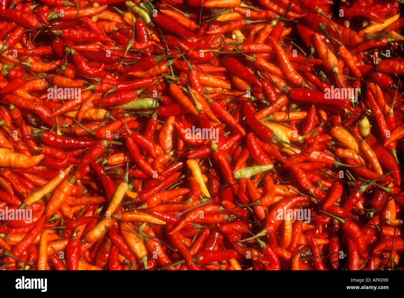 Red chili peppers in Mexico Stock Photo