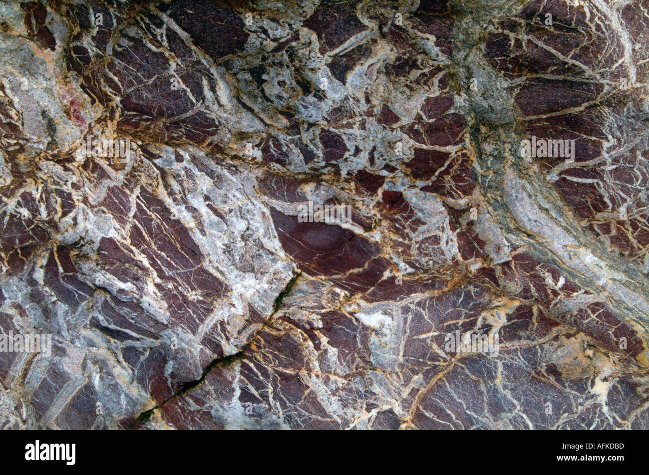 Veined jasper outcrop on beach in North Wales UK Europe Stock Photo