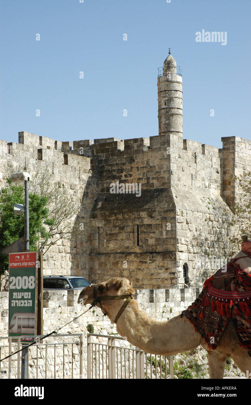 camel waiting for tourists to ride it outside the walls of the old city ...
