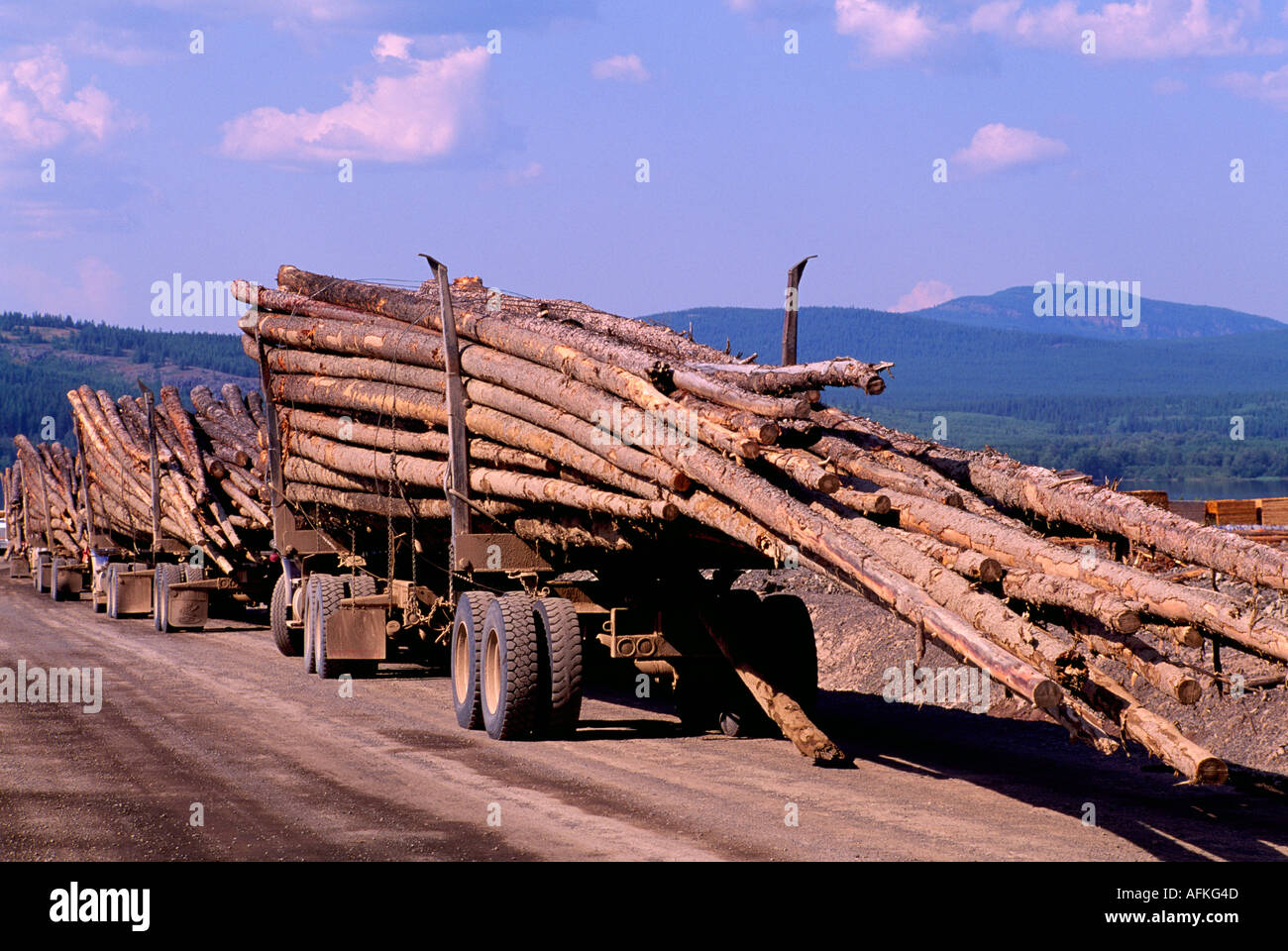 Timber logging truck pacific hires stock photography and images Alamy