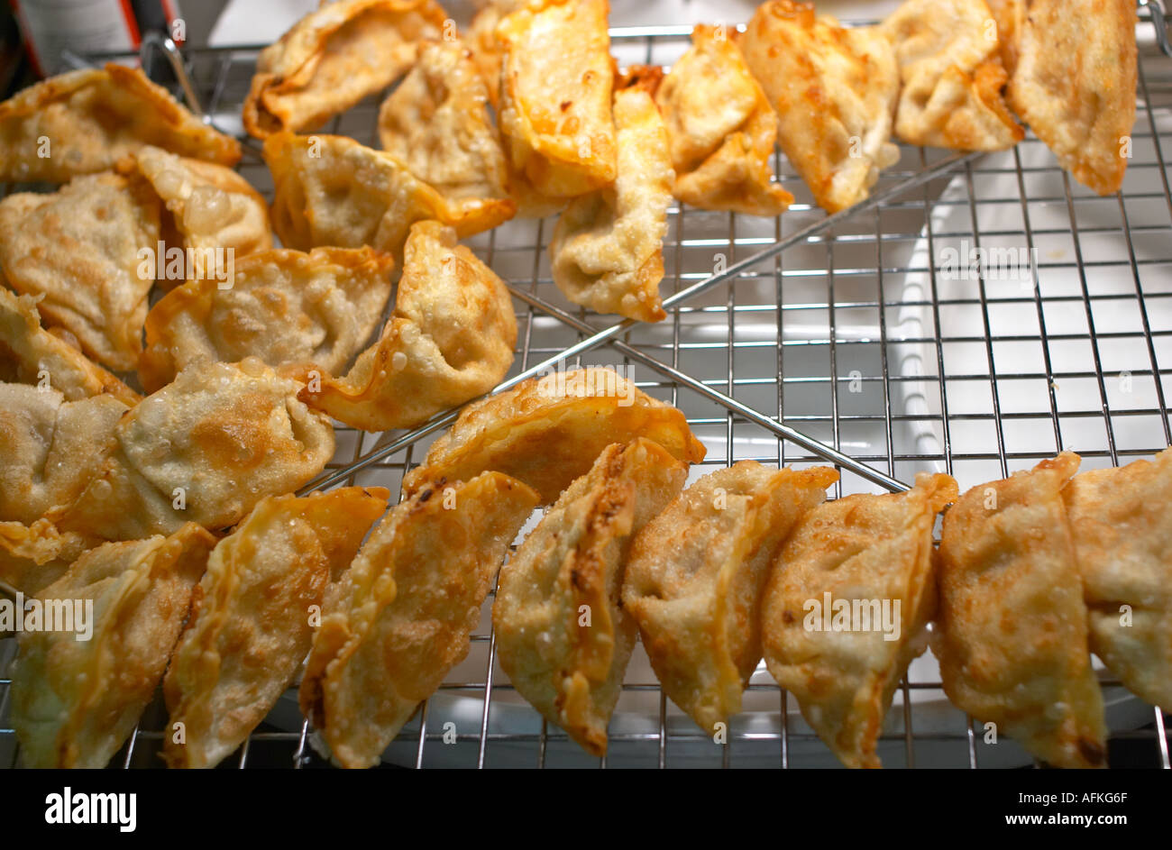 Fried Pork Dumplings Japanese Gyoza Dish Stock Photo Alamy