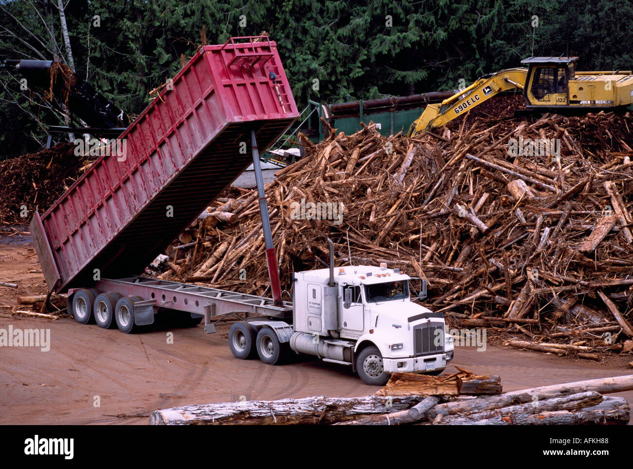 Dumping Wood Waste for processing into Wood Chips at Beaver Cove on
