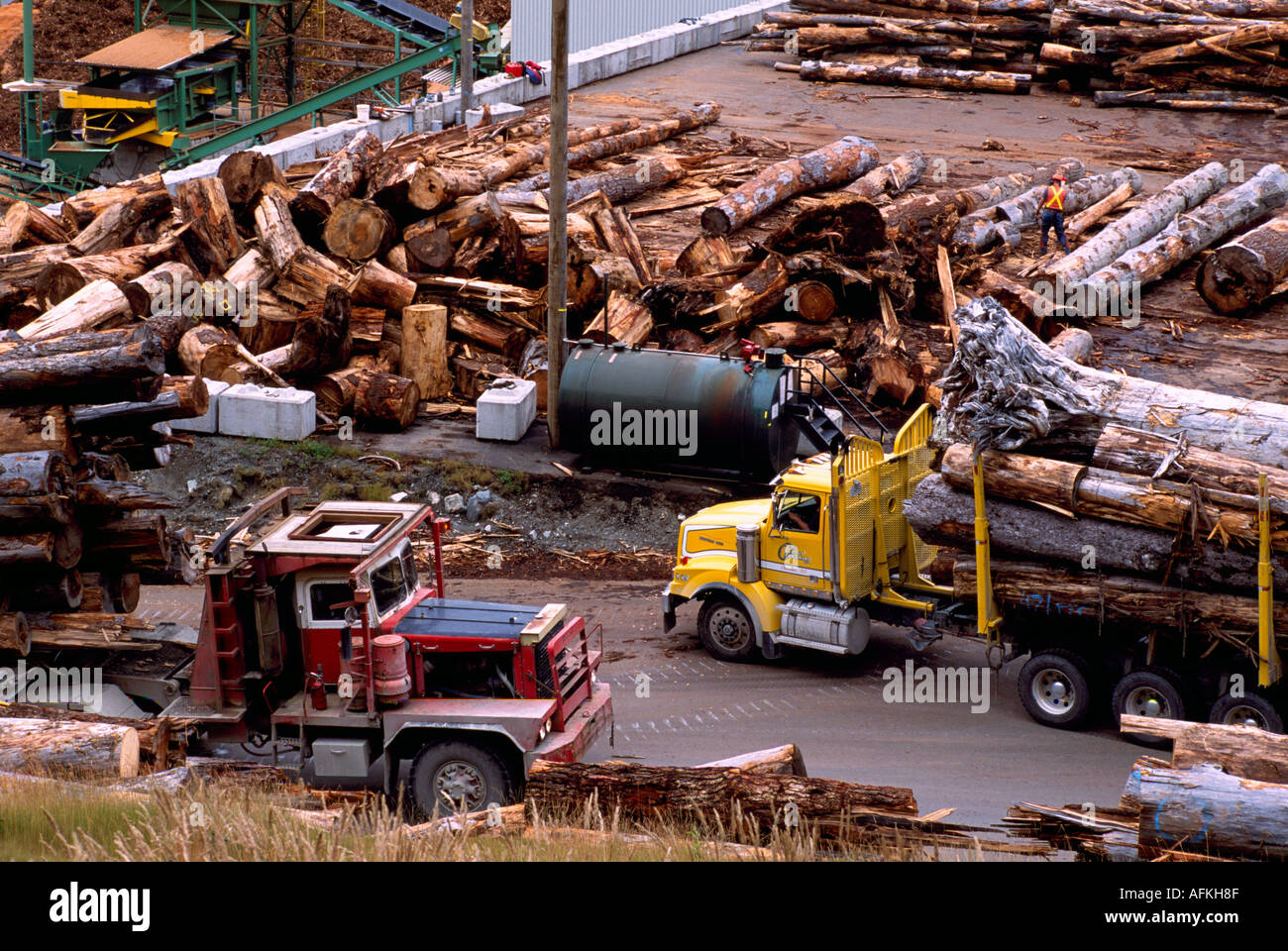 Unloading Poor Quality Logs for processing into Wood Chips at Beaver Cove on Vancouver Island British Columbia Canada Stock Photo