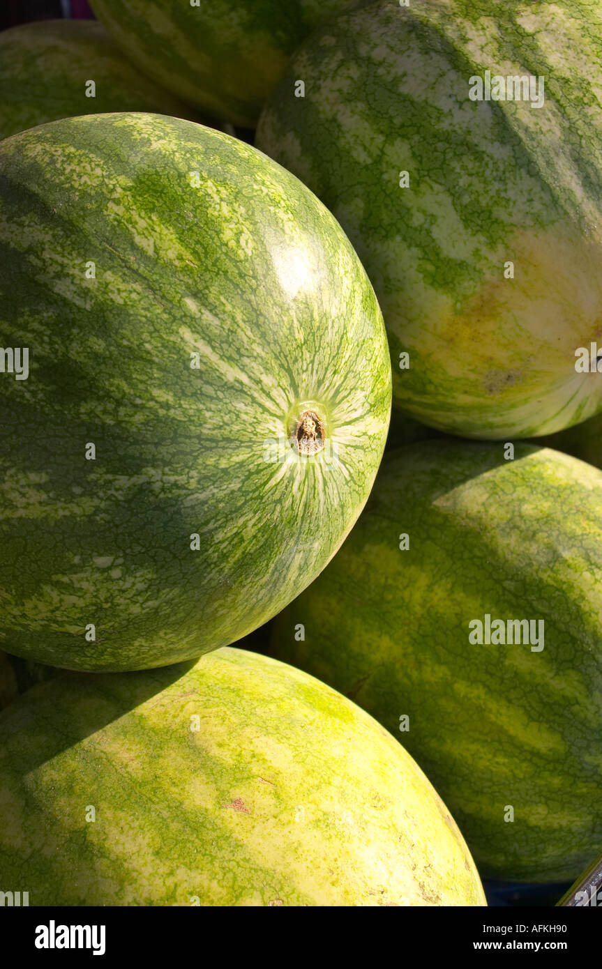 Watermelons in the sun close up Stock Photo
