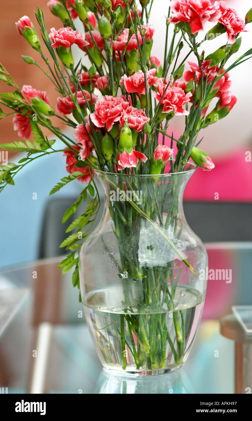 Pink striped carnations in a clear glass vase Stock Photo