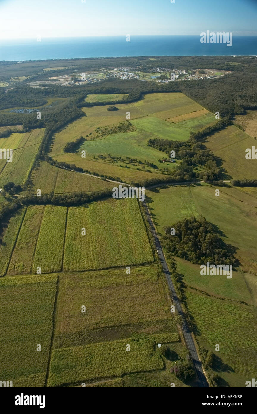 Sugarcane fields North of Maroochydore Queensland Sunshine coast