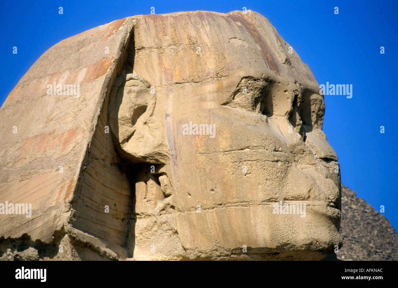 View of The Great Sphinx of Giza, Cairo, Egypt Stock Photo - Alamy
