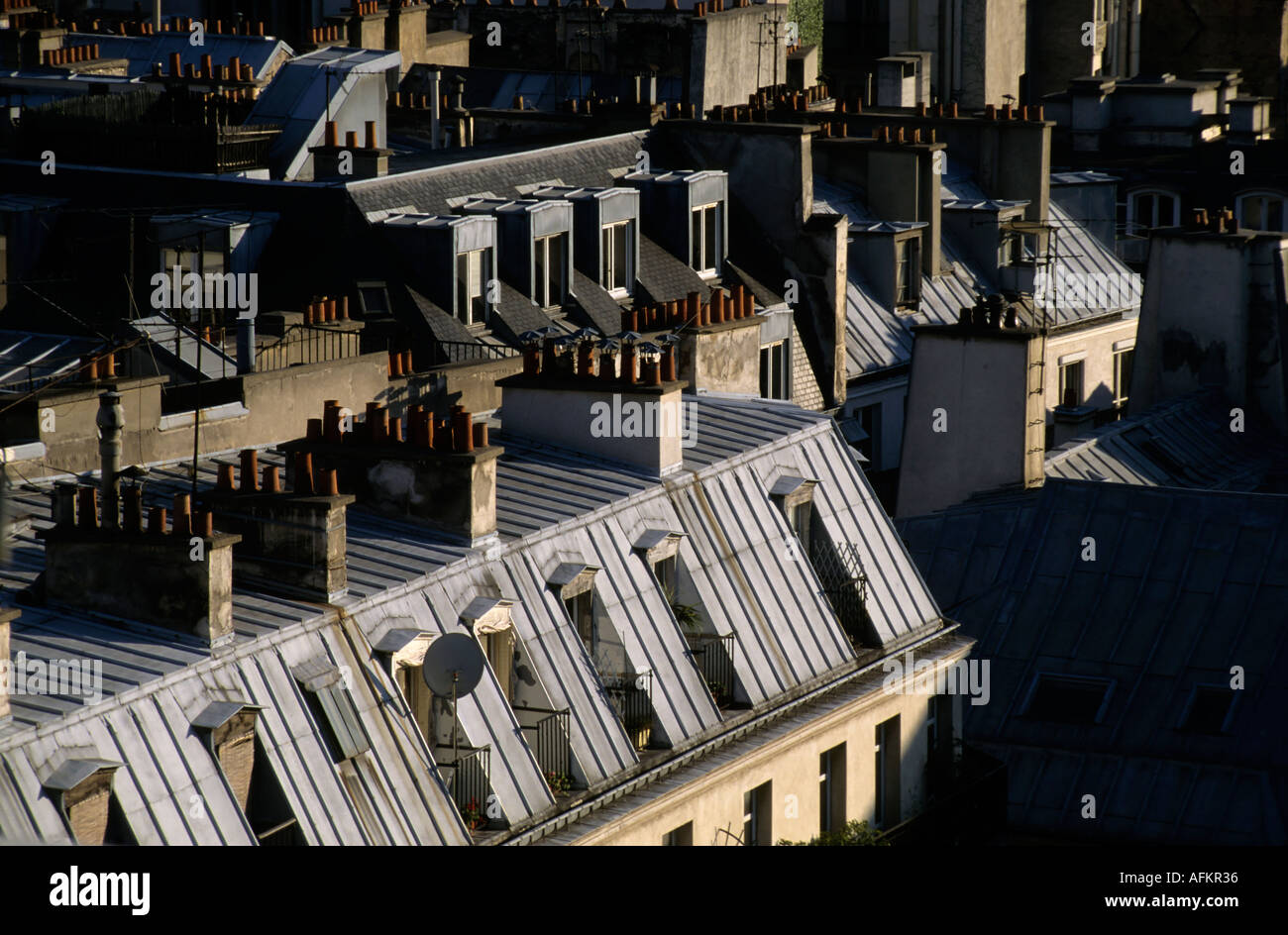 Rooftops of city buildings in the ChateletLes Halles district of Paris