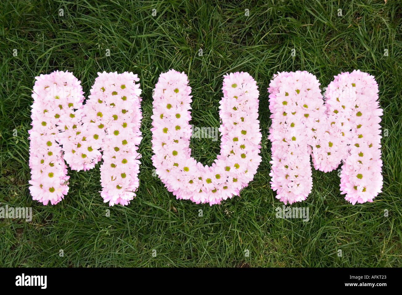 Pink funeral flowers spelling the word Mum grass background Stock Photo 4561954 Alamy