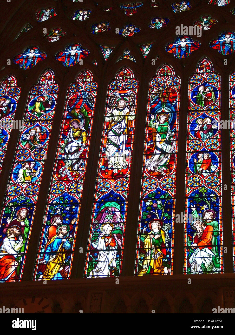 Stained glass window St Patrick s Cathedral Melbourne Australia Stock Photo Alamy