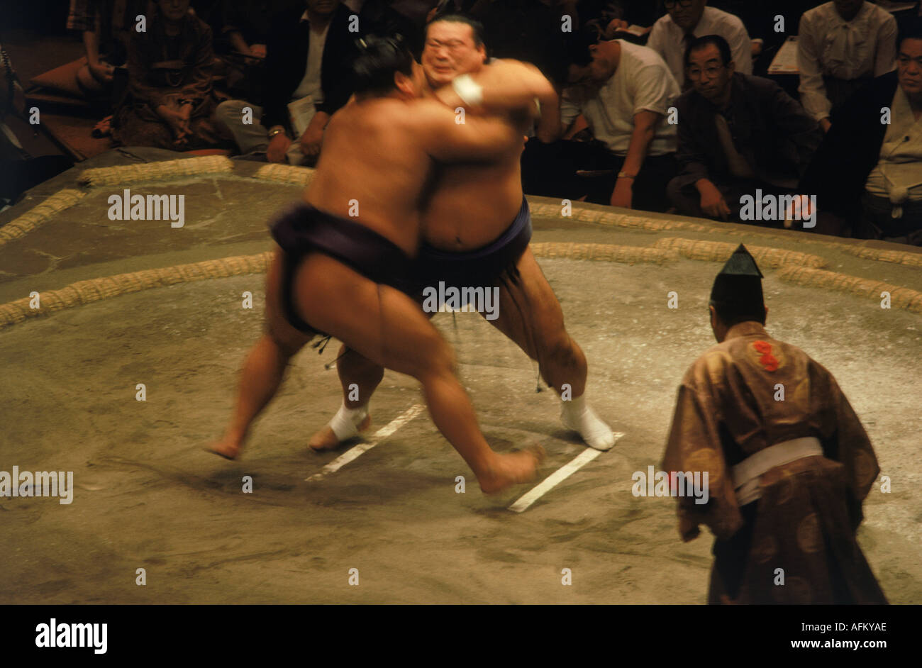 Sumo wrestlers in loincloth and sash or mawashi fighting in ring or dohyo Stock Photo