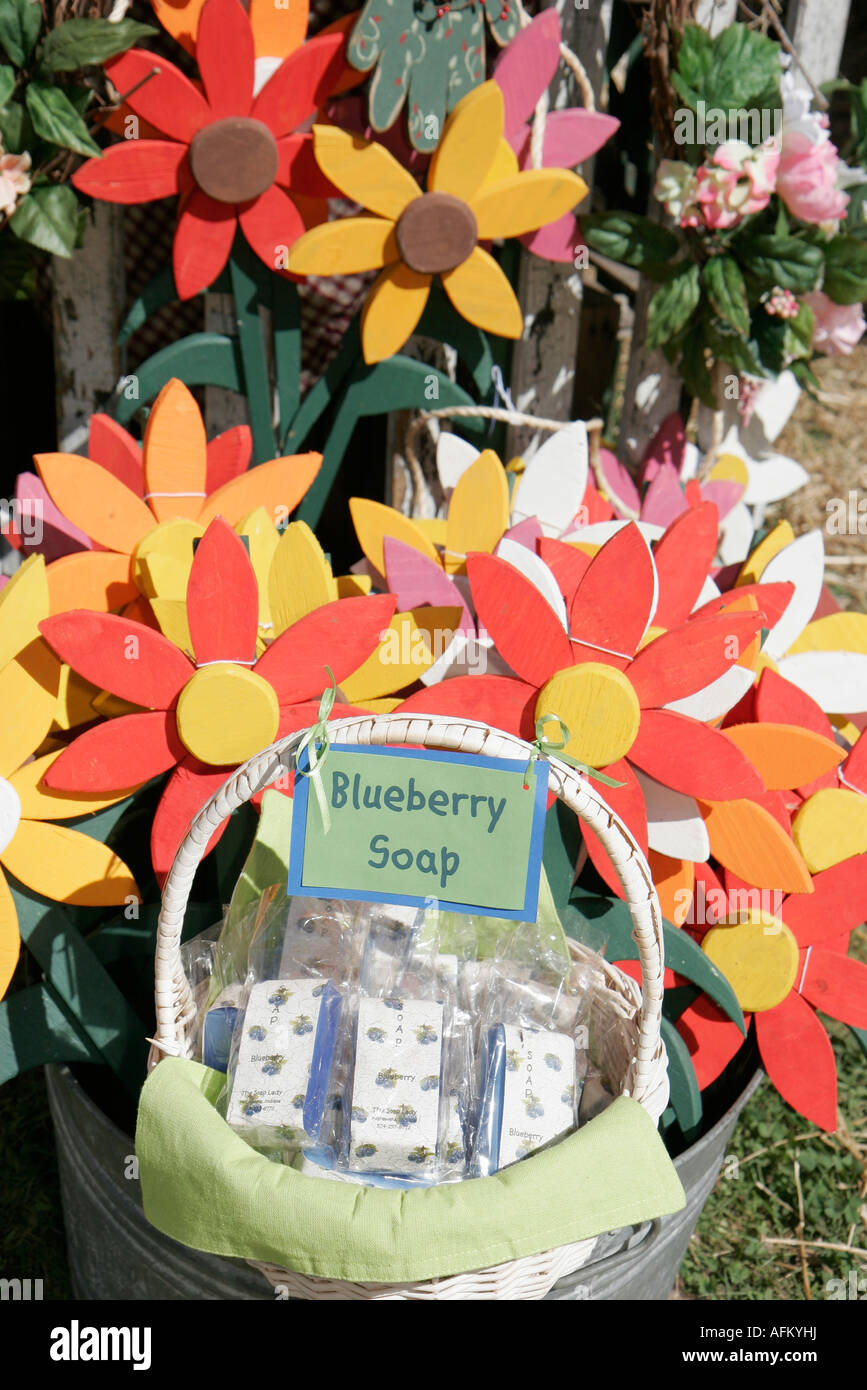 Indiana Marshall County,Plymouth,Marshall County Blueberry Festival