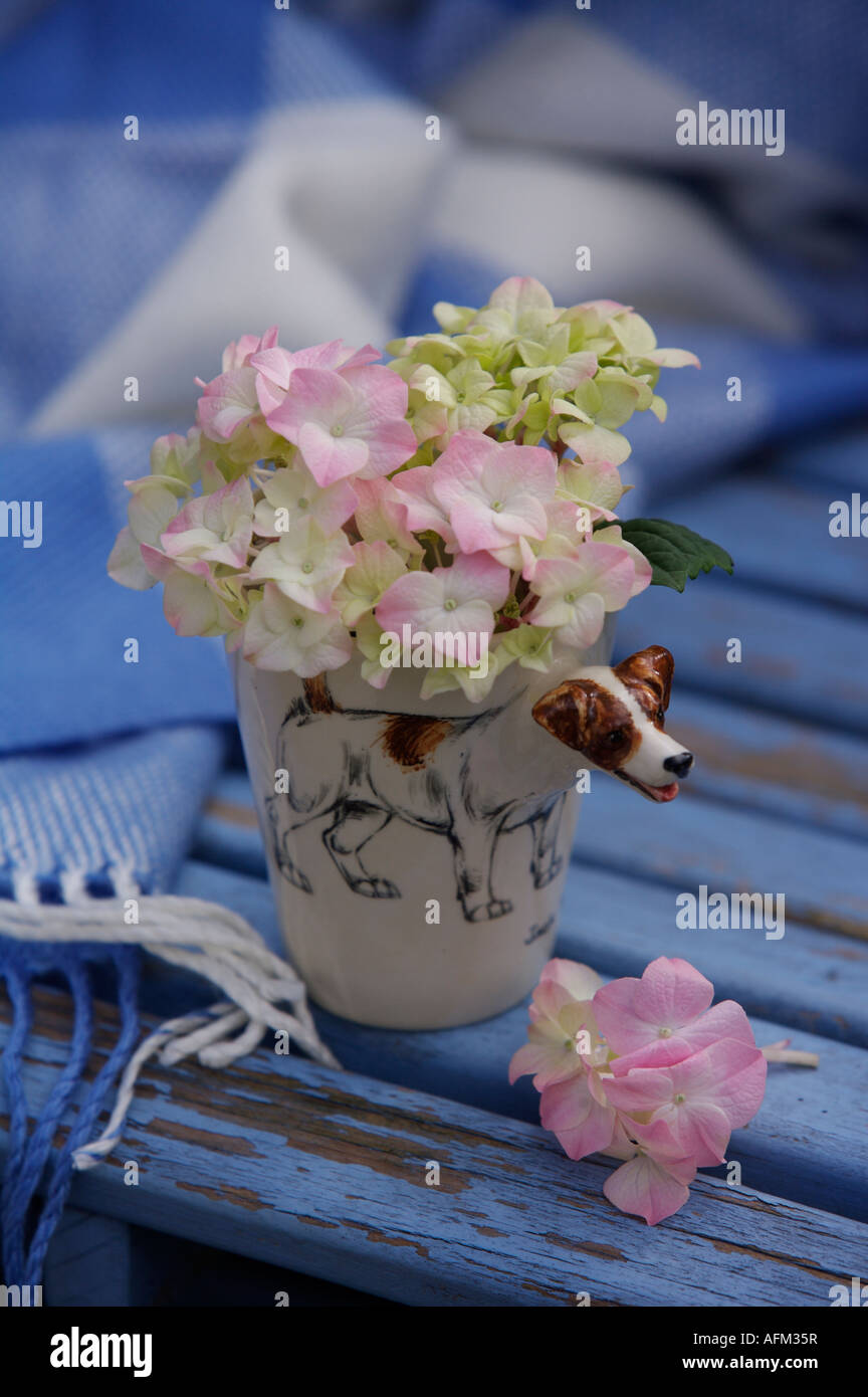 Posy of pale pink phlox and cream hydrangeas in novelty foxhound cup on blue and white checked rug Stock Photo