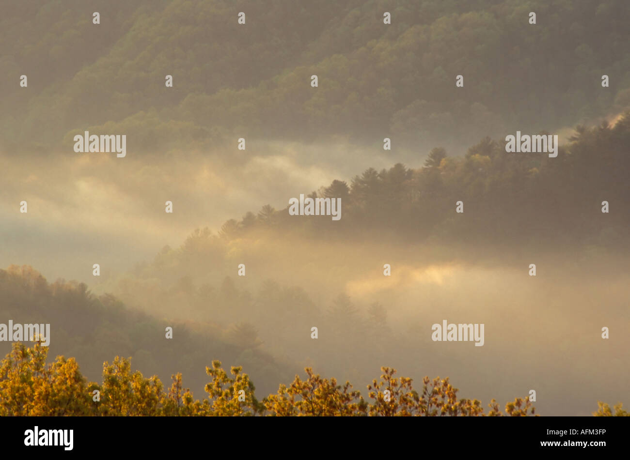 Morning light on smokies hi-res stock photography and images - Alamy