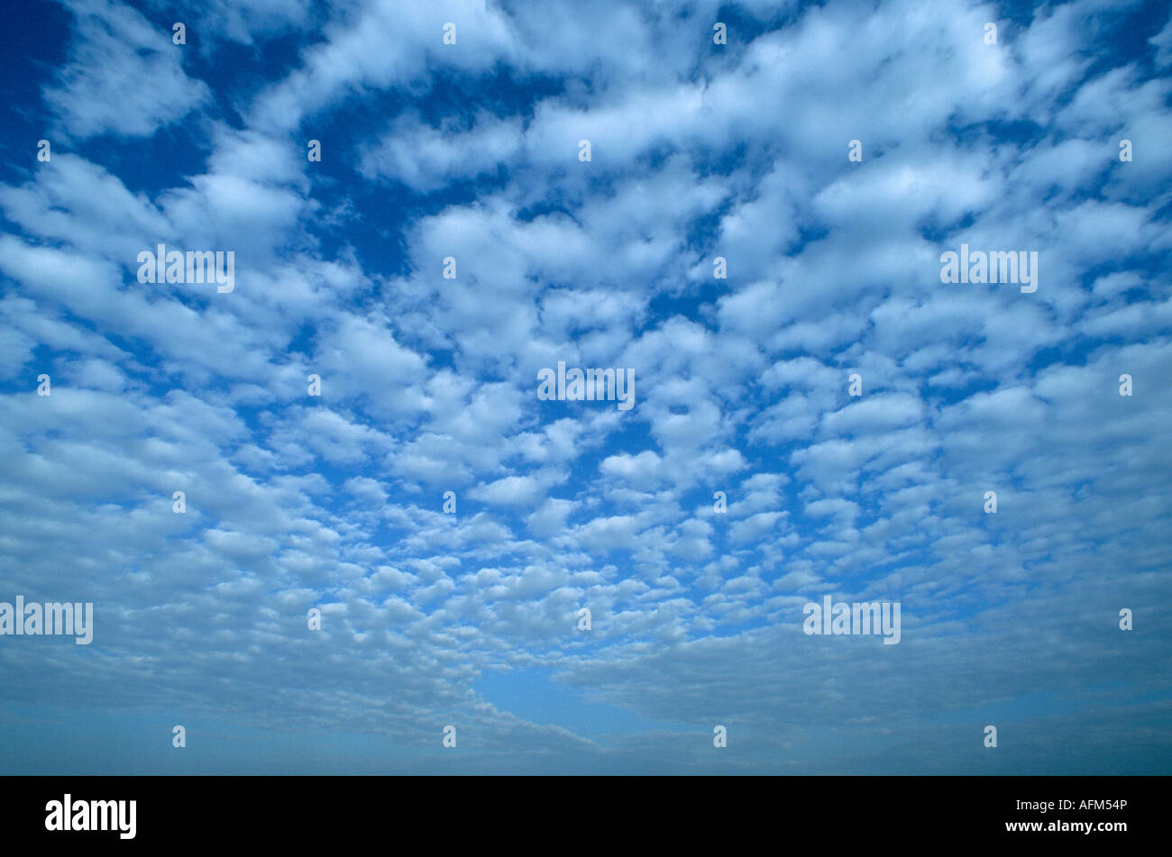Clouds, Altocumulus, Mackerel Sky Stock Photo